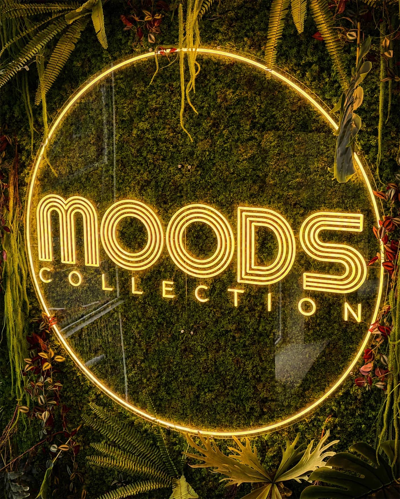 Verlicht LED-neon logo van Moods Collection op een groene moswand, gemaakt in LED Neon Flex.