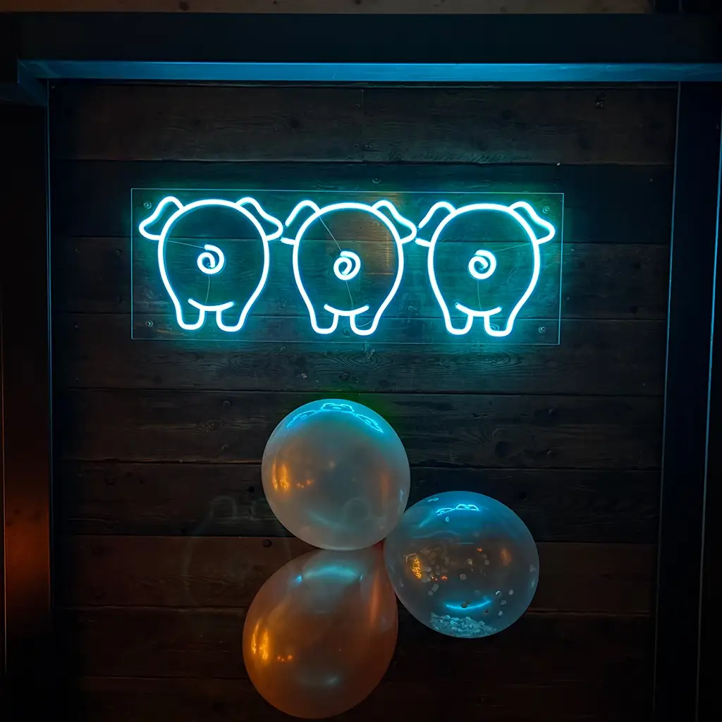 Maatwerk neon figuren gemonteerd op transparante plaat tegen houten wand